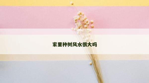 家里種樹風(fēng)水很大嗎