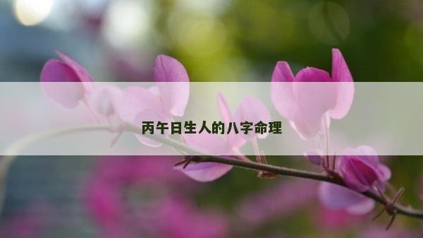 丙午日生人的八字命理