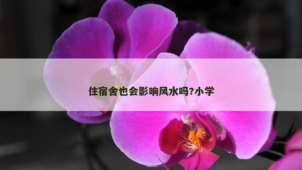 住宿舍也會影響風水嗎?小學