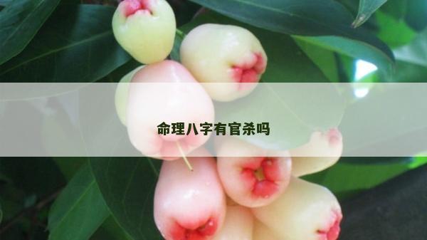 命理八字有官殺嗎