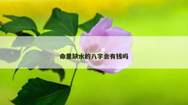 命里缺水的八字會有錢嗎