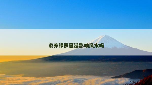 家養綠蘿蔓延影響風水嗎