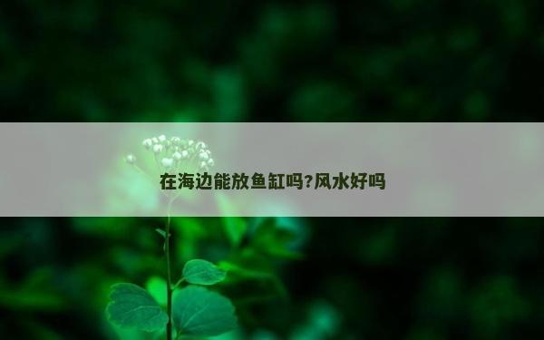 在海邊能放魚缸嗎?風(fēng)水好嗎