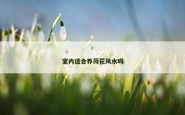室內適合養荷花風水嗎