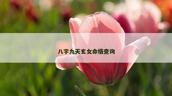 八字九天玄女命格查詢