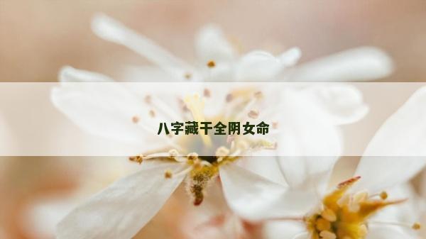 八字藏干全陰女命