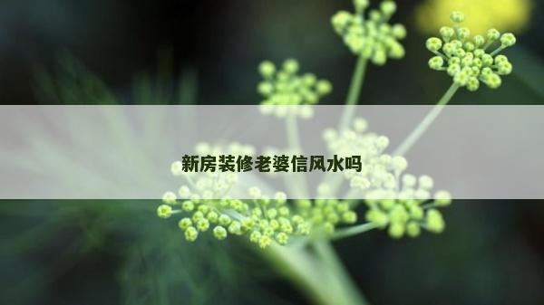 新房裝修老婆信風水嗎