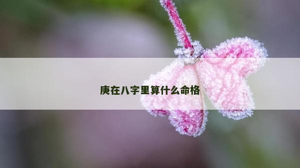 庚在八字里算什么命格 庚在八字里算什么命格
