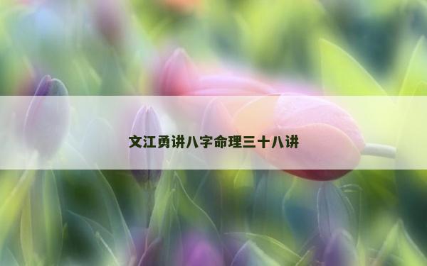 文江勇講八字命理三十八講