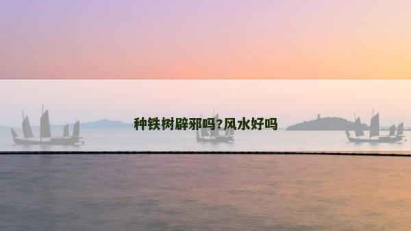 種鐵樹辟邪嗎?風水好嗎