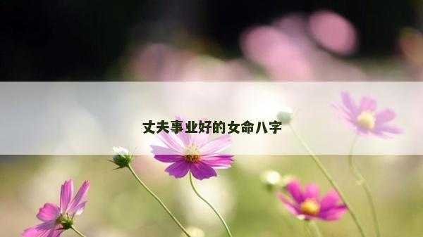 丈夫事業好的女命八字