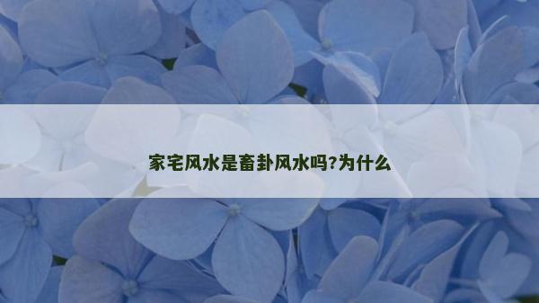 家宅風水是畜卦風水嗎?為什么
