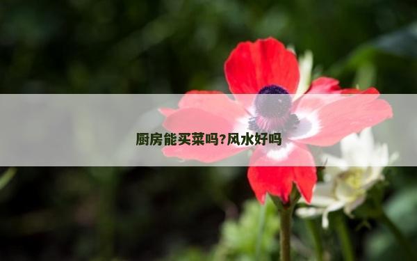廚房能買菜嗎?風水好嗎
