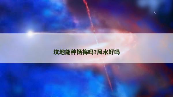 墳地能種楊梅嗎?風水好嗎