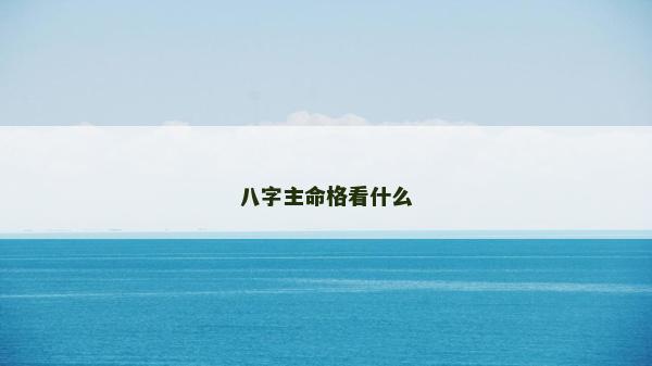 八字主命格看什么