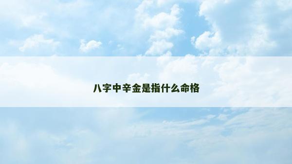 八字中辛金是指什么命格