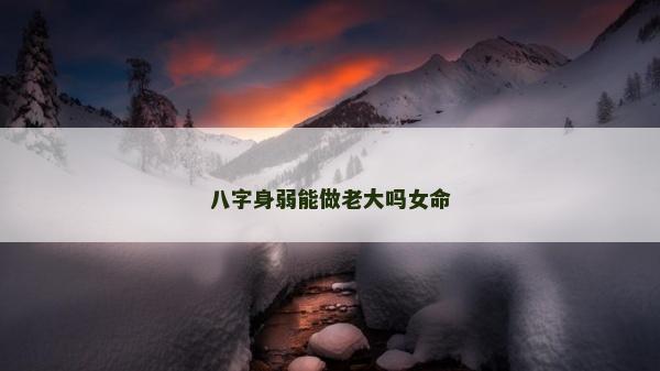 八字身弱能做老大嗎女命