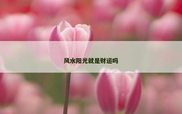 風水陽光就是財運嗎
