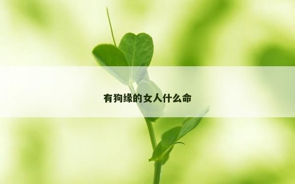 有狗緣的女人什么命