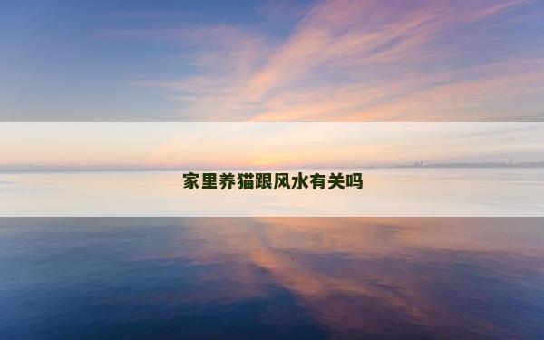 家里養(yǎng)貓跟風水有關嗎