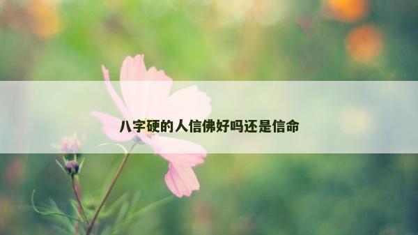 八字硬的人信佛好嗎還是信命