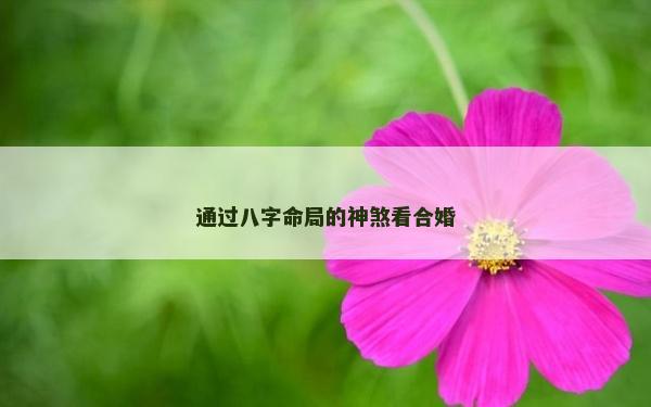 通過八字命局的神煞看合婚