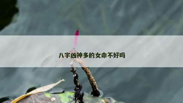 八字兇神多的女命不好嗎