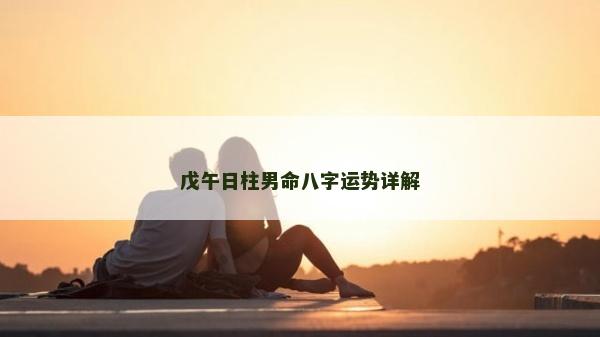 戊午日柱男命八字運勢詳解