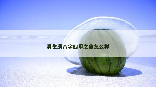 男生辰八字四甲之命怎么樣