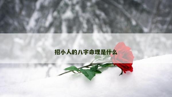 招小人的八字命理是什么