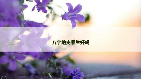 八字地支順生好嗎