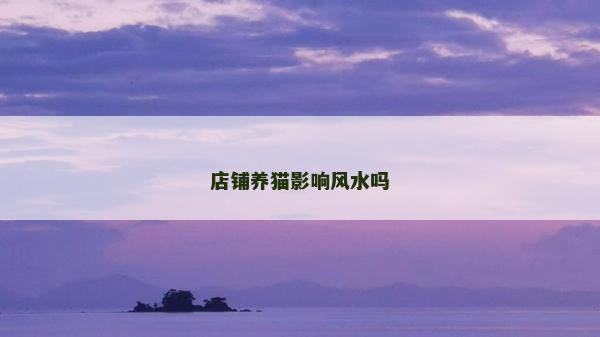店鋪養(yǎng)貓影響風(fēng)水嗎