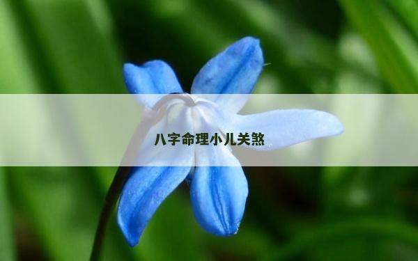 八字命理小兒關煞