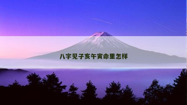 八字見子亥午寅命里怎樣
