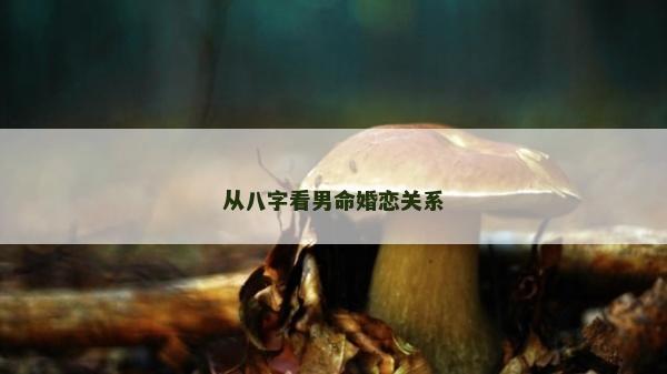 從八字看男命婚戀關系