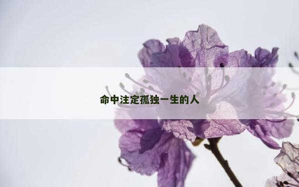 命中注定孤獨一生的人