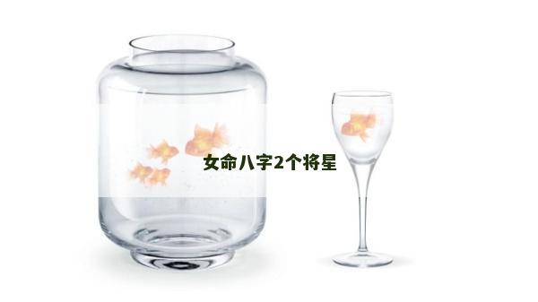 女命八字2個將星