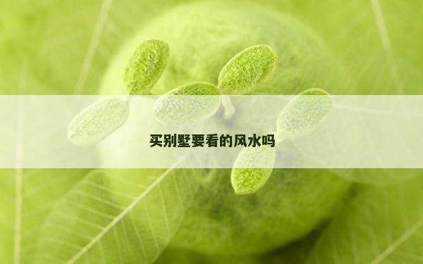 買別墅要看的風水嗎