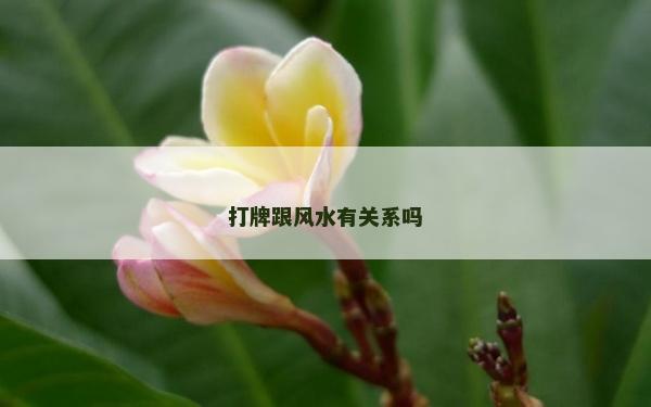 打牌跟風水有關系嗎