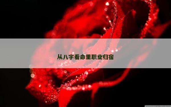 從八字看命里職業歸宿 從八字看命里職業歸宿