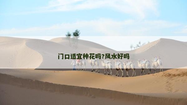 門口適宜種花嗎?風(fēng)水好嗎