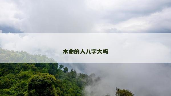 木命的人八字大嗎