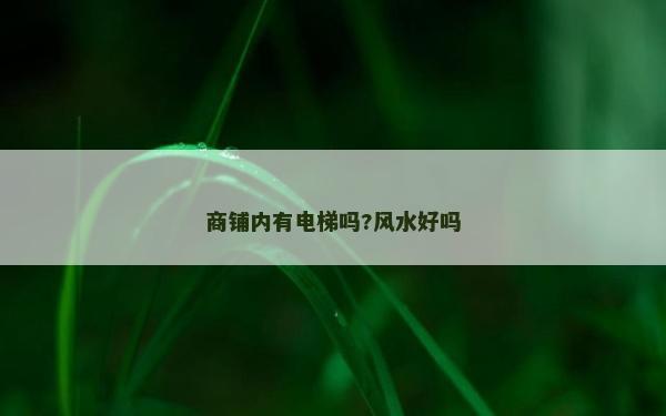 商鋪內(nèi)有電梯嗎?風(fēng)水好嗎