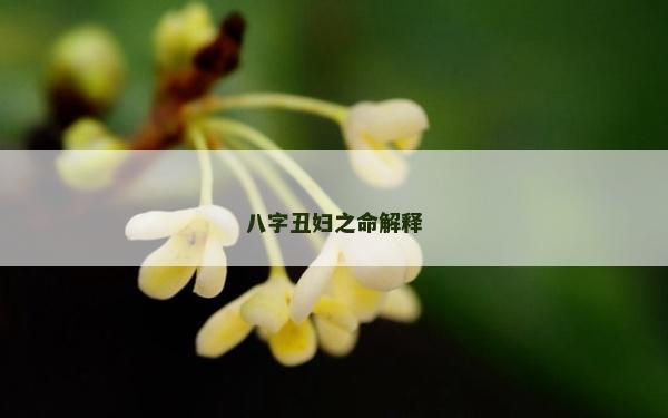 八字丑婦之命解釋