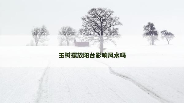 玉樹擺放陽臺影響風水嗎