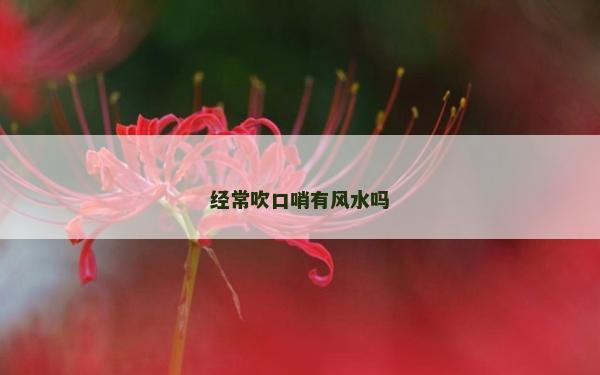 經常吹口哨有風水嗎