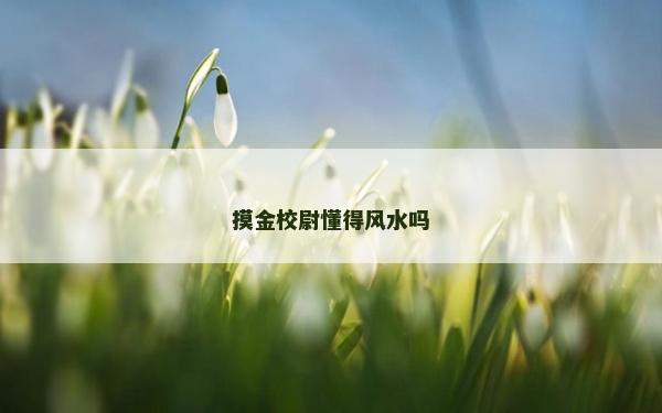 摸金校尉懂得風水嗎
