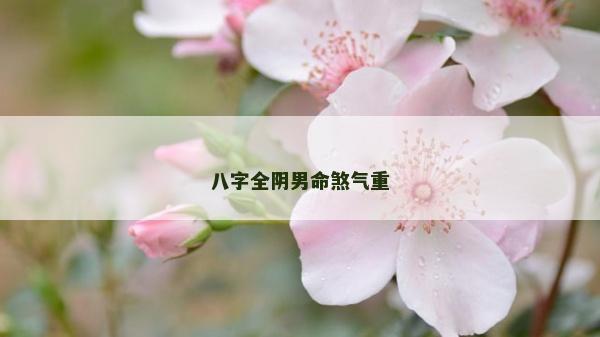 八字全陰男命煞氣重