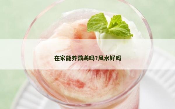在家能養鸚鵡嗎?風水好嗎