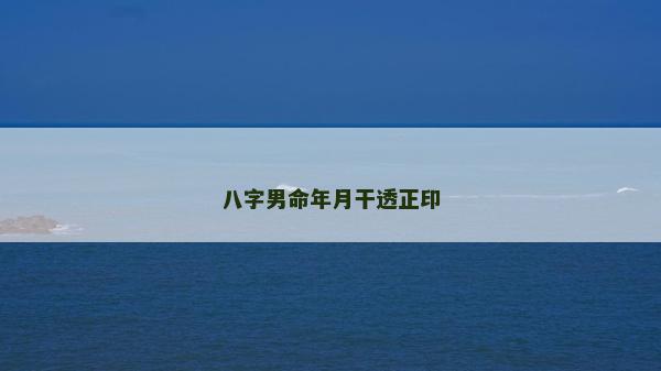 八字男命年月干透正印 八字男命年月干透正印